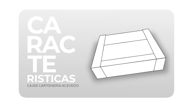 Divisiones cajas de carton